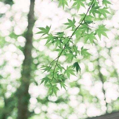 沙特下调7月对亚洲的原油售价 尽管霍尔木兹海峡危机令海湾出口受阻